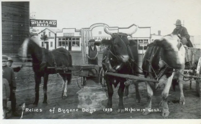 Relics of Bygone Days: oxen and cart on the street